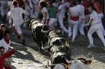 Bull Running 2011