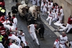 Bull Running in Spain