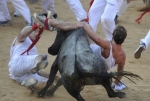 Bull Running in Spain 2011