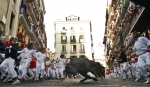 Bull Running in Spain Photos