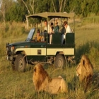  Kenya Family Safari, luxury vacations