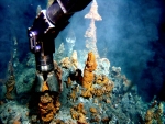 Deep Sea Vents Animals