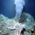 Deep Sea Vents Ecuador