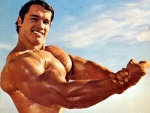 Arnold Schwarzenegger Pics