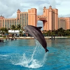  Atlantis Resort and Casino – A Player’s Paradise
