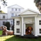  Most expensive Pet Homes