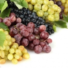  11 Reasons To Start Eating Grapes