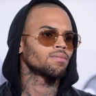  Chris Brown Arrested For Felony Assault