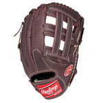 Expensive Baseball Glove