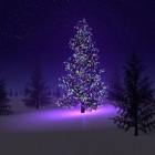 Serene Christmas tree