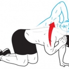  5 Exercises for a Strong Upper Back