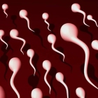  7 Signs Your Semen Is Healthy and Strong