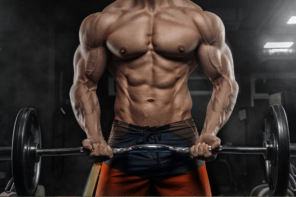  Valuable Tips for Chest Workout