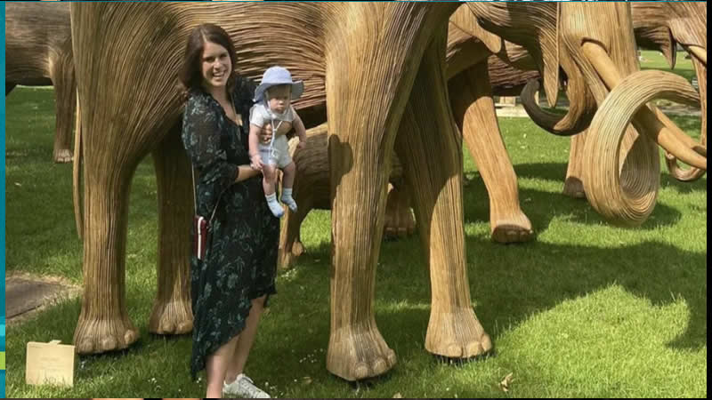  Princess Eugenie Enjoys an Adorable Park Day with Her Son, August