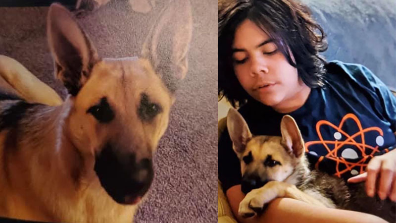  Body of the Missing 14-Year-Old Found in the Woods With His Dog
