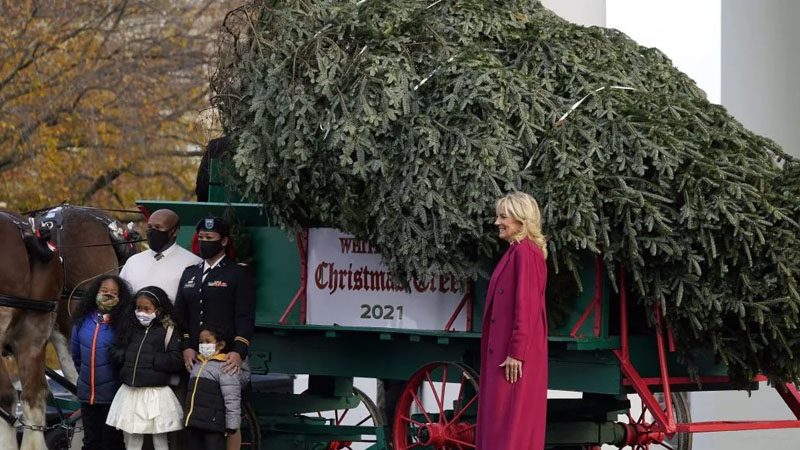  Jill Biden Accepts White House Christmas Tree in Festive Red Coat, White Dress & Suede Boots