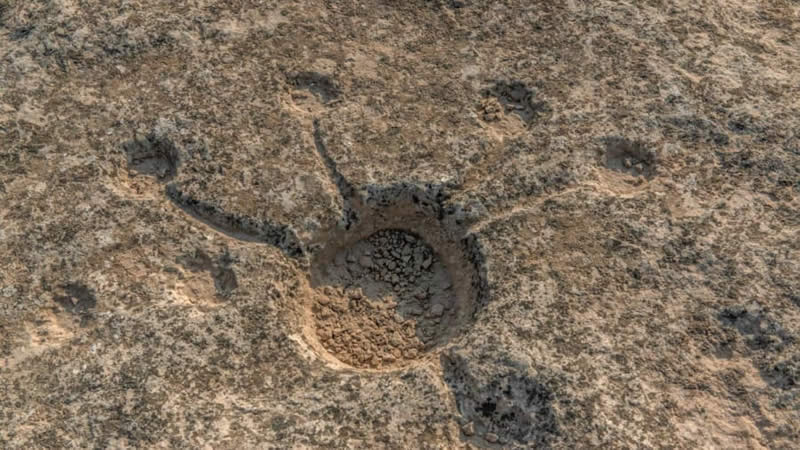  The Mysterious Symbols Discovered Carved in Qatar’s Deserts