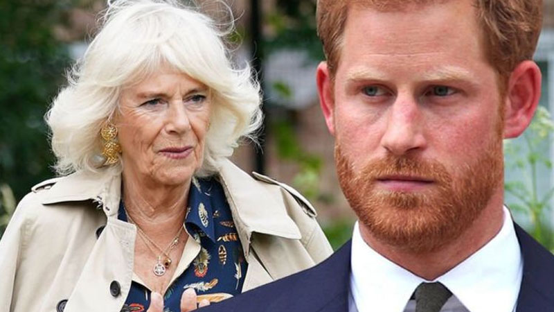  New Book Claims Camilla Bowles Made Racist Remark When Meghan Markle was Pregnant with Archie