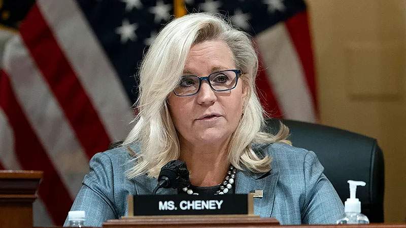  “I prayed and the Lord said to me” Liz Cheney Criticizes House Speaker Mike Johnson for Supporting Trump at Hush-Money Trial