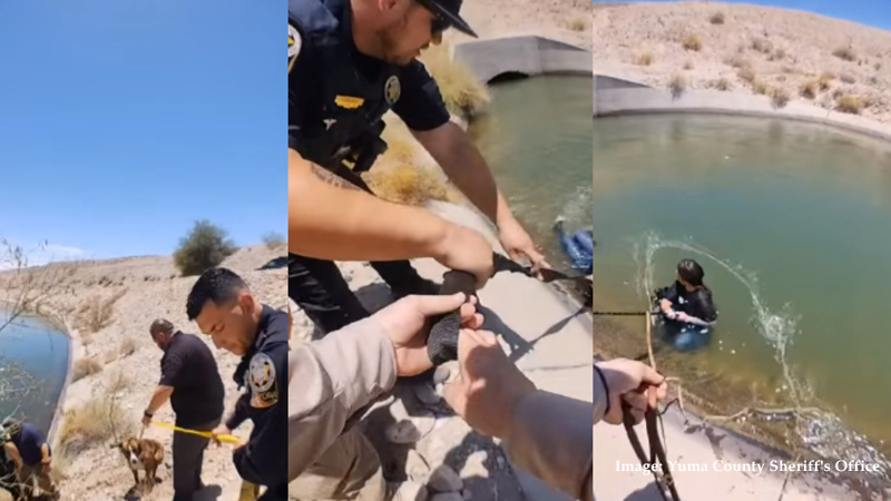  Woman and Dog Rescued From Arizona Canal after 18 Hours of Fighting to Stay Alive