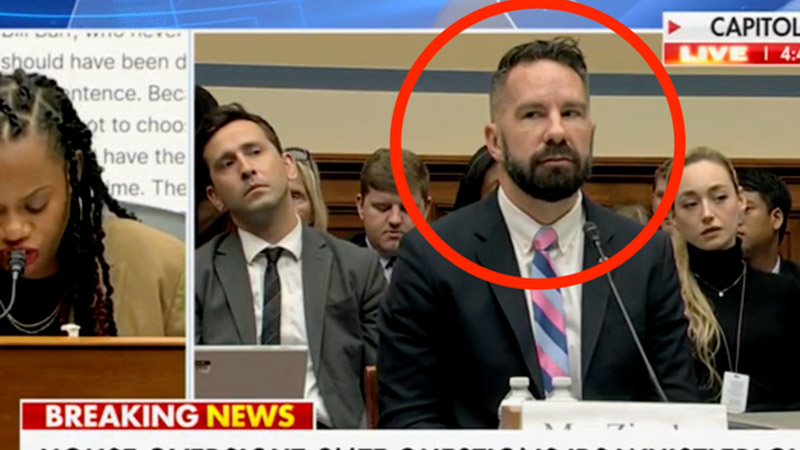  Look At The Whistleblower’s Expression As Dem Rep Becomes Unglued About Slavery During Hunter Biden Hearing
