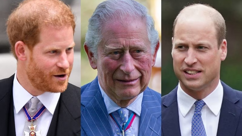  Prince Harry reaches London to help William as King Charles falls ill