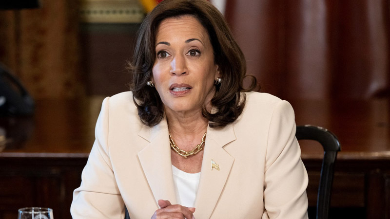  “The Urgency of the Requests”: Kamala Harris Drops Hints on Vice Presidential Pick