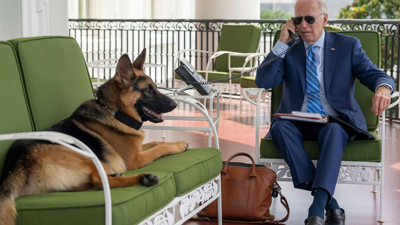  Biden’s Dog, Commander, Exits White House Following Multiple Biting Incidents