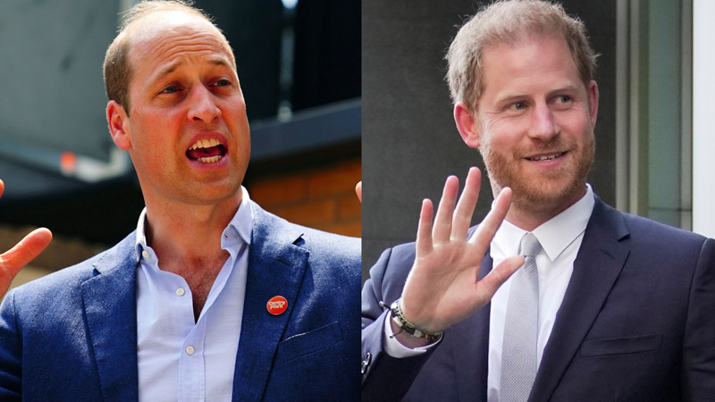  Prince William Keeps Harry Out of Succession Decisions, Royal Author Reports