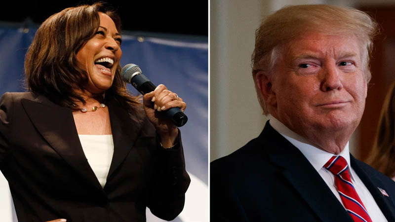  “They’re Just Mad”: Former GOP Strategist Criticizes Trump’s Media Avoidance While Praising Harris’s Strategy