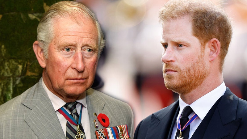 Prince Harry slammed for saying King Charles isn’t ‘made for single parenthood’