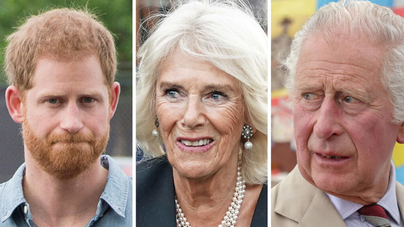  King Charles Unable to Forgive Harry Over ‘Cruel’ Allegations About Camilla, Says Royal Expert