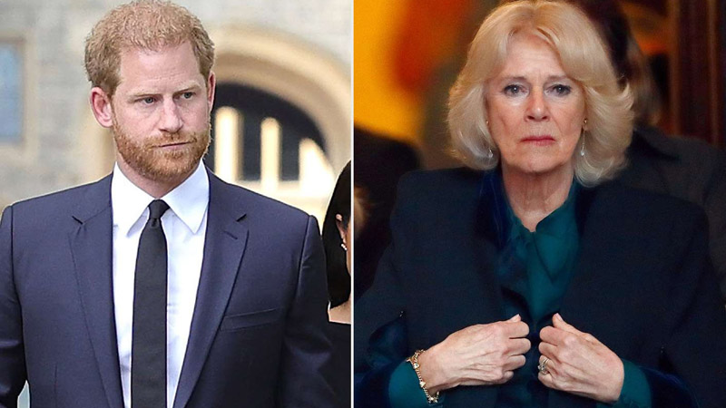  Queen Camilla follows in Prince Harry’s footsteps despite years-long feud