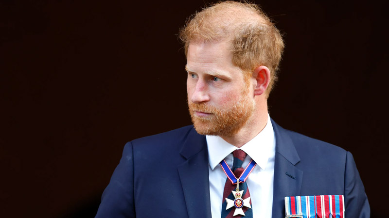  Prince Harry dubbed ‘Petulant’, warned over the rift with the royal family