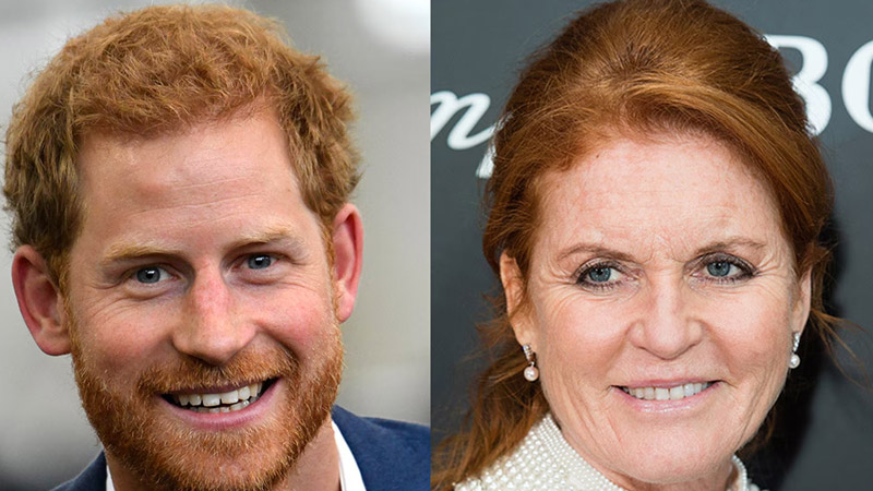 Prince Harry needs Sarah Ferguson to teach him a ‘thing or two’ about shame, Says Royal Commentator
