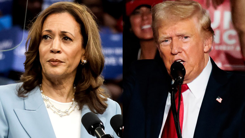  Data Scientist Predicts Kamala Harris Will Defeat Trump in 2024 Election Landslide